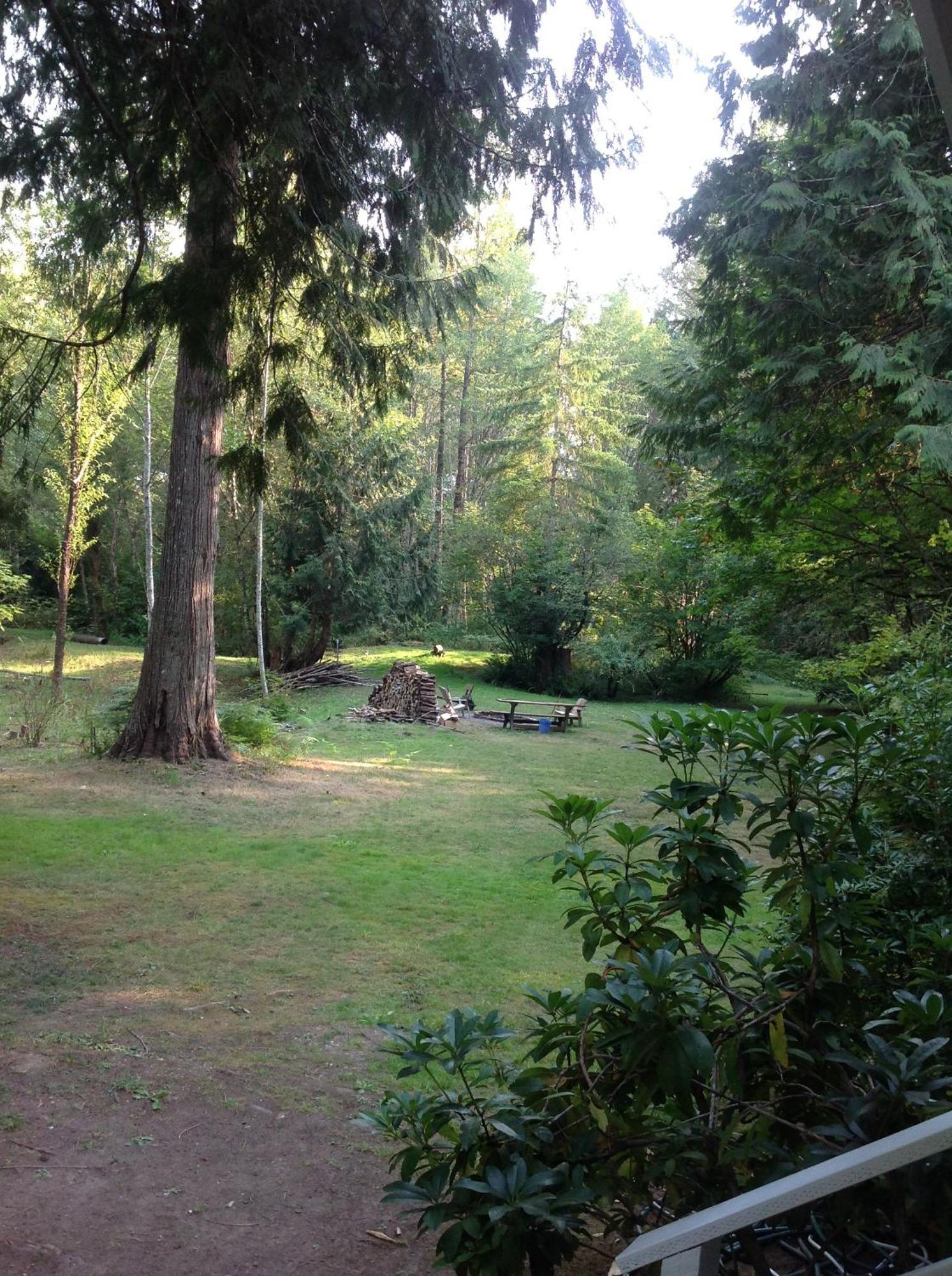 Mountain Meadows Inn & Chalet Suites Ashford Dış mekan fotoğraf